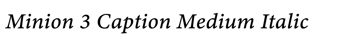 Minion 3 Caption Medium Italic image